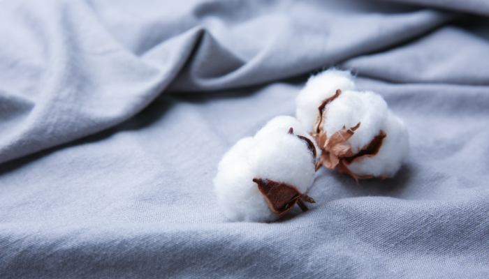 Vải Cotton 100%