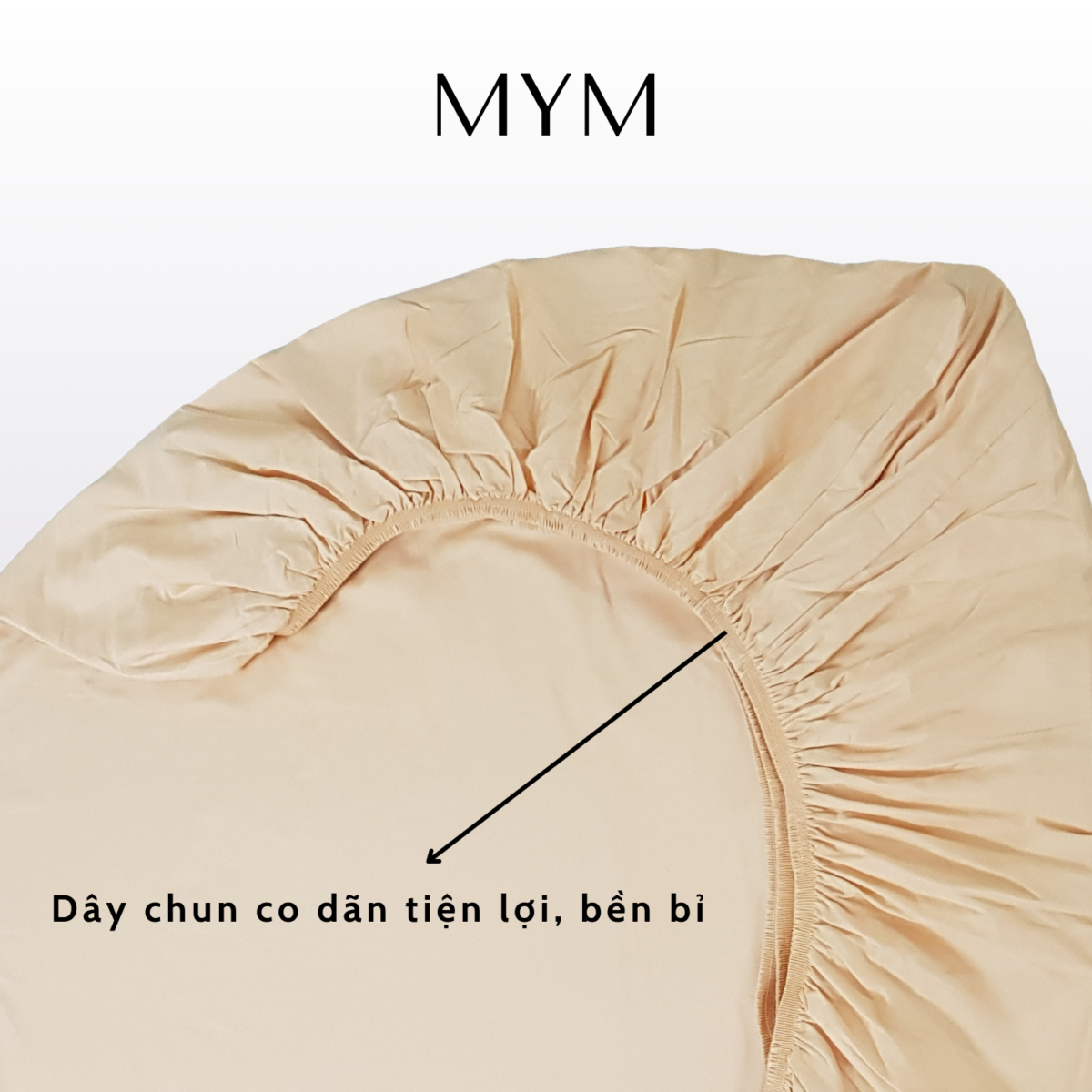 Chi Tiết Bộ Drap Gối Cotton Màu 08