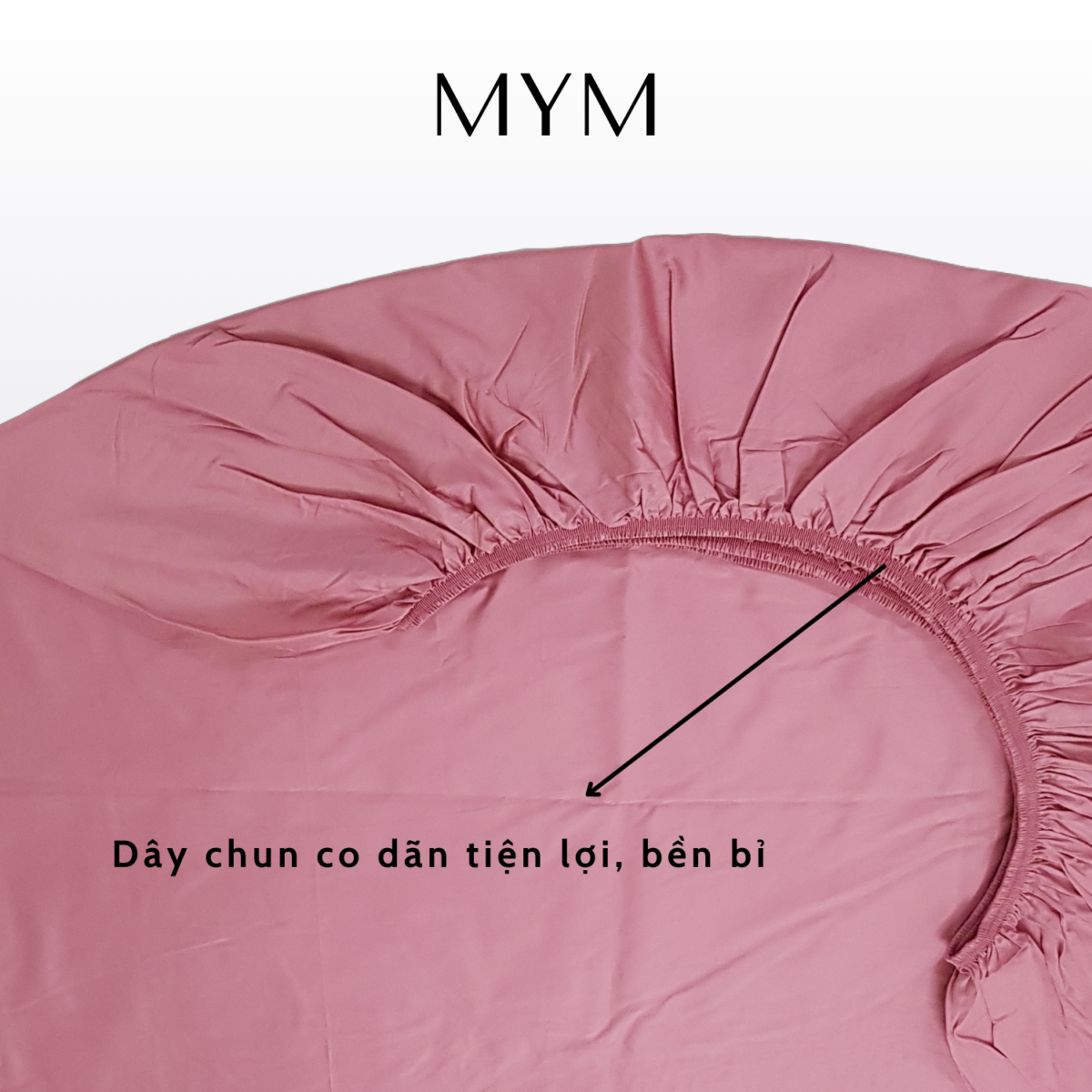 Chi Tiết Bộ Drap Gối Cotton Satin Màu 02